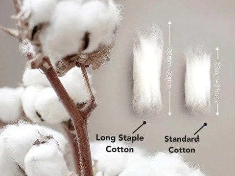 Understanding Cotton: From Farm to Fabric